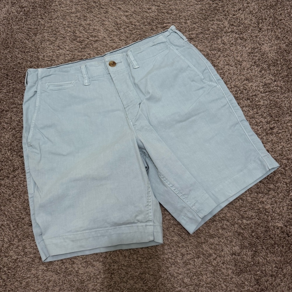 American Eagle Outfitters Light Blue Flat Front Shorts